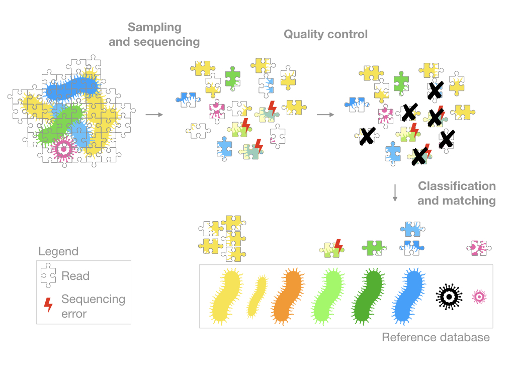 Over-simplified processing of metagenomics samples