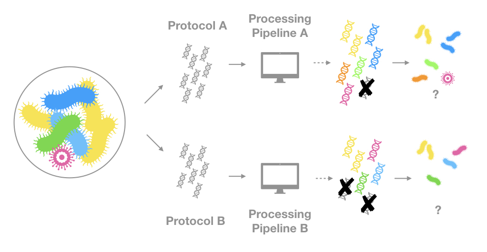 Over-simplified effect of different piplelines on species detection
