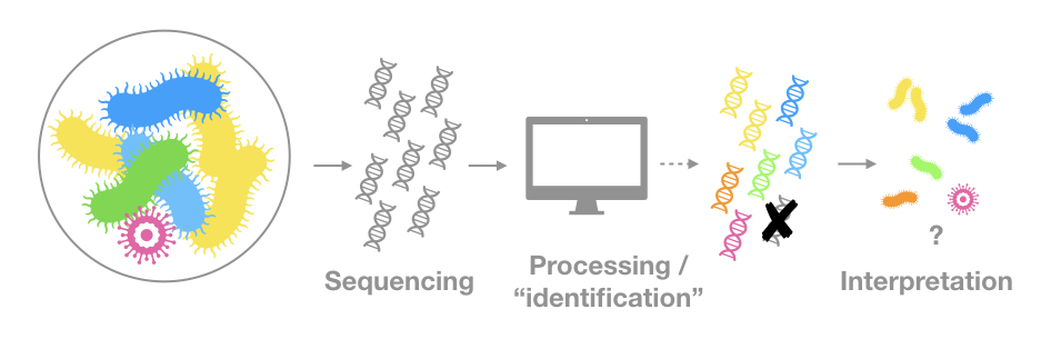 Over-simplified schema of metagenomics methods