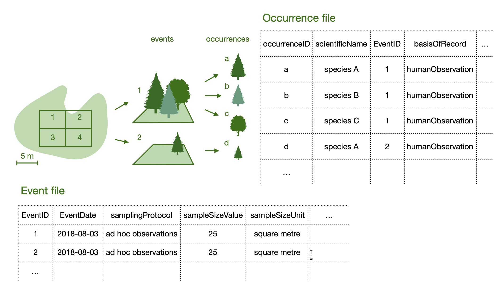 Sampling-event dataset example