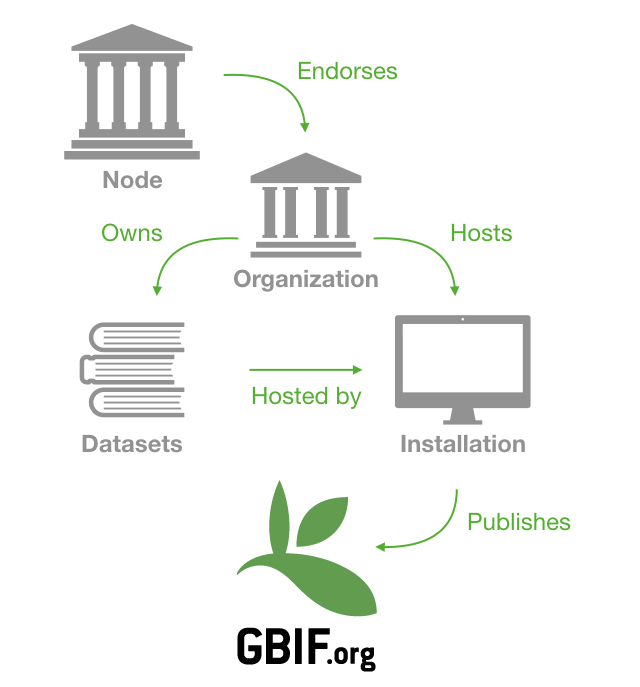 Schema one organization