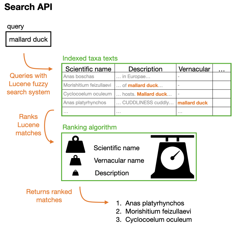Search API