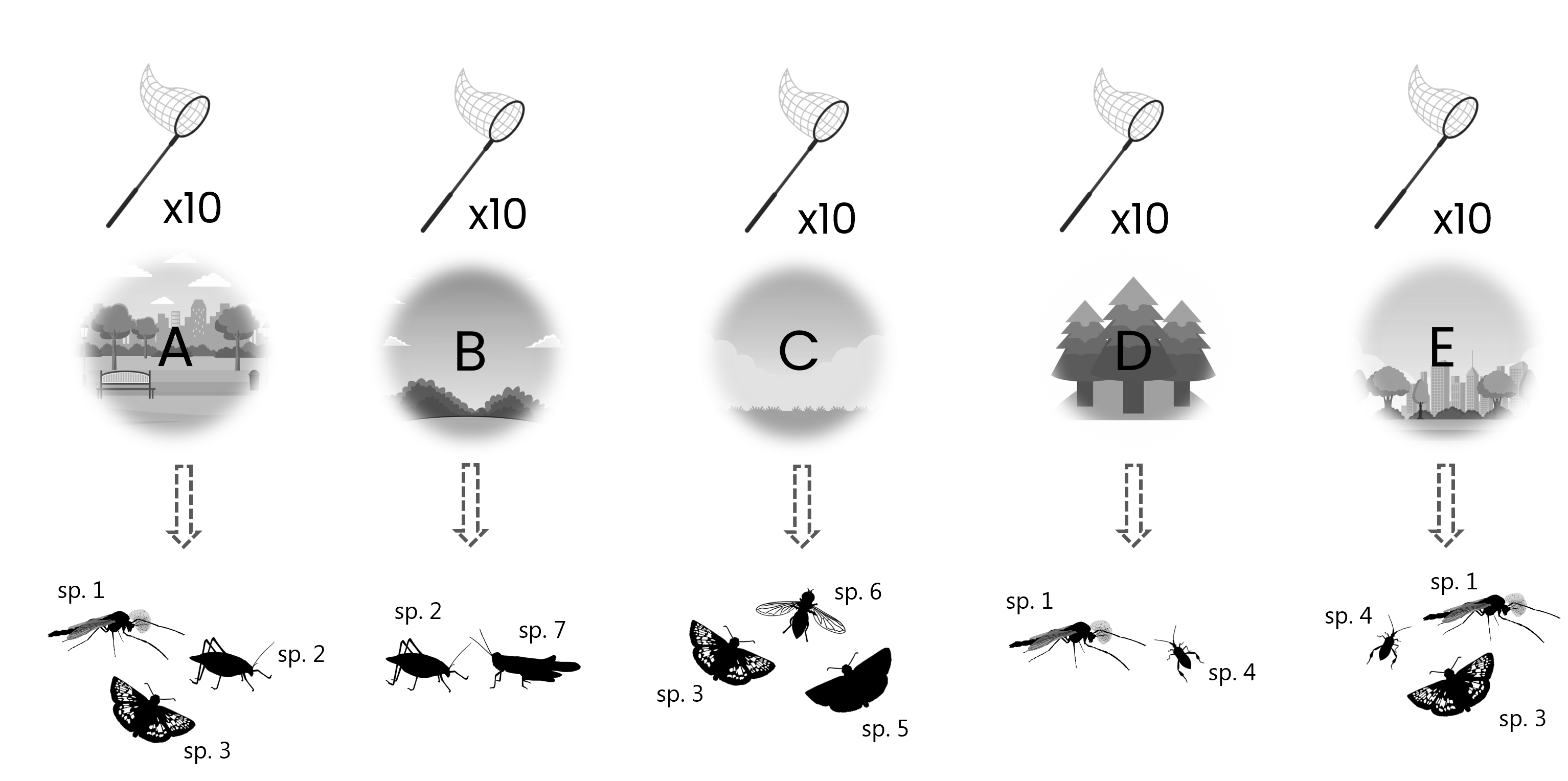 sampling events