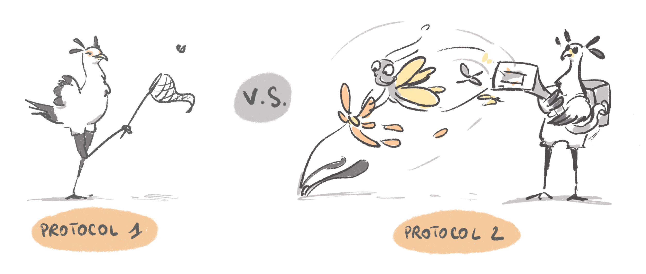 The two protocols